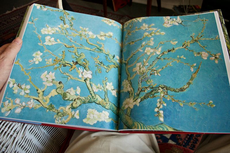 6a00e5509ea6a18834017d3d292841970c-800wi